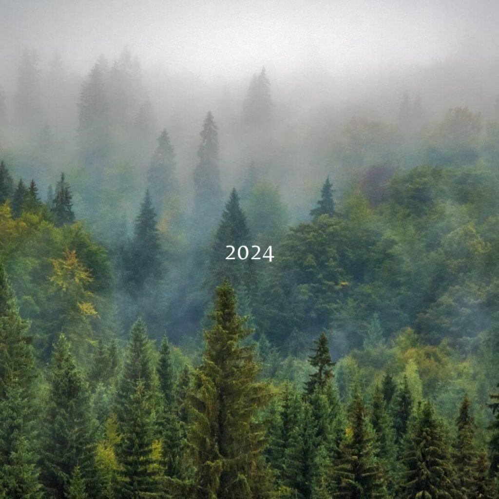 2024