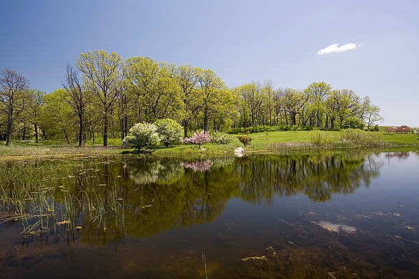 Arbor Day Title Photo