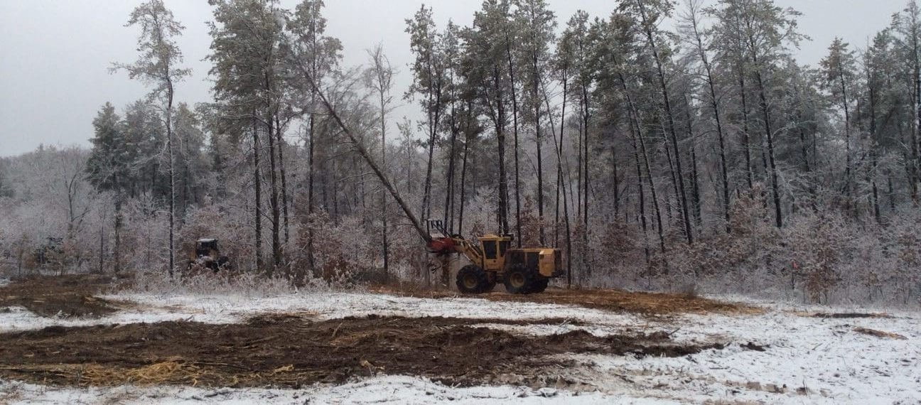 Fort McCoy project: Heavy equipment logging trees in a snowy forest landscape. Sustainable forestry and logging operation visible.
