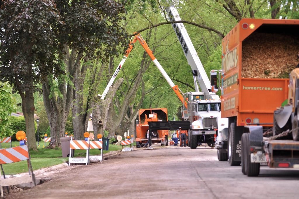 Tree removal crew using crane and wood chipper on Parkway. Tree care services in action. Roadside tree maintenance.