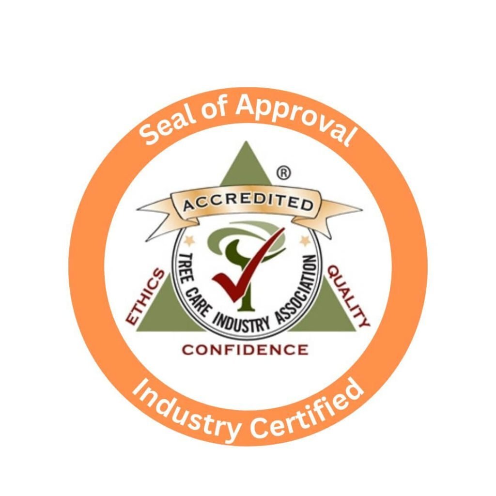 Seal of Approval
