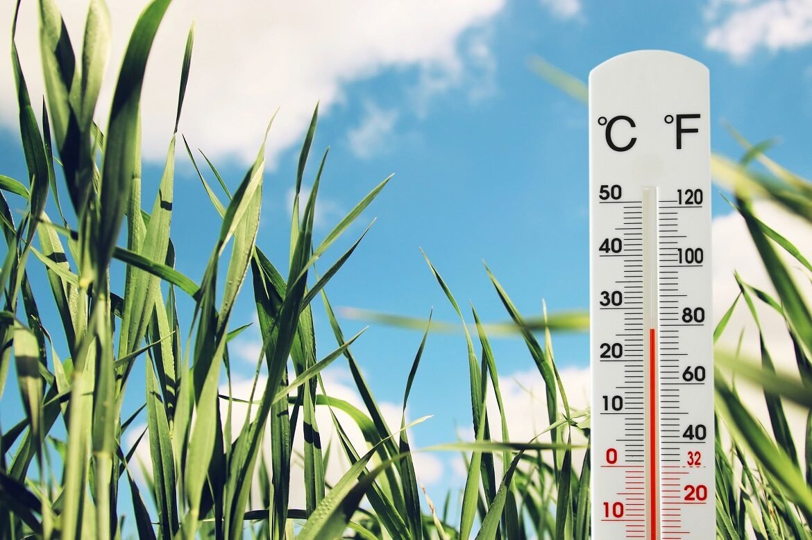 thermometer at field of green young grass indicating weather change