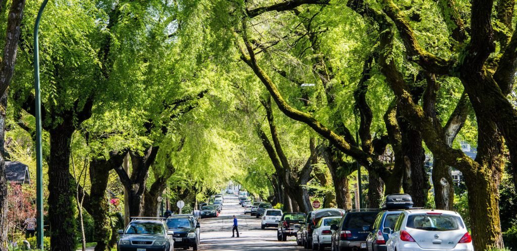 Urban Forestry