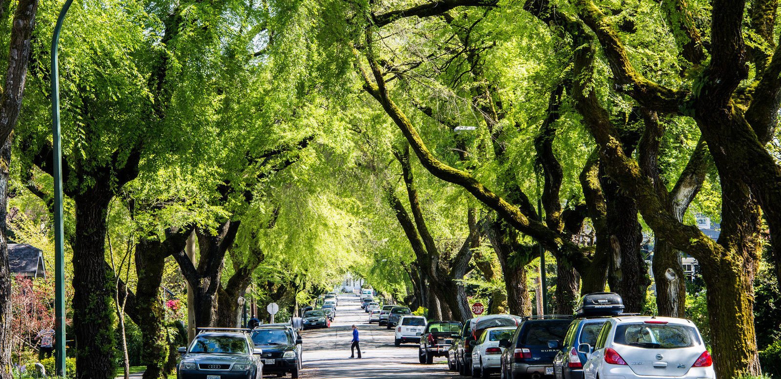 Urban Forestry