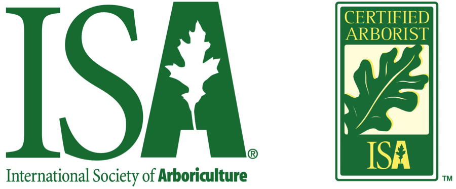 certified arborist 900x373