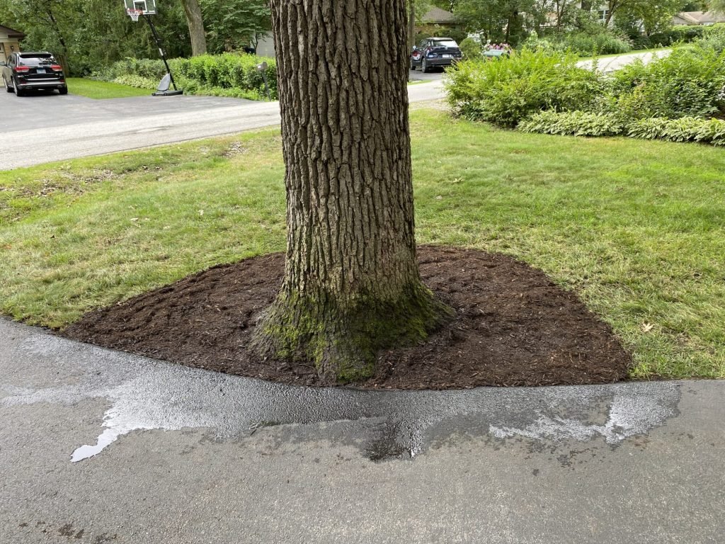 mulching cover photo