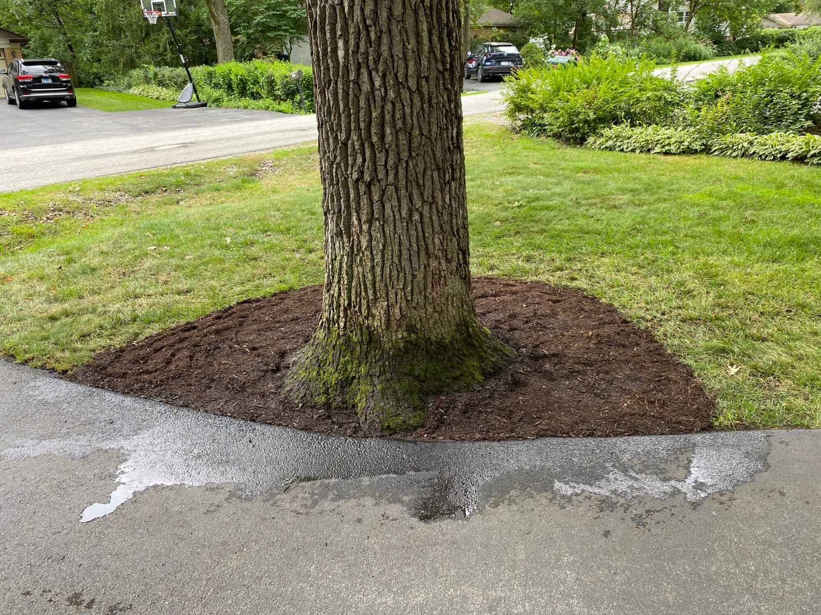 mulching cover photo