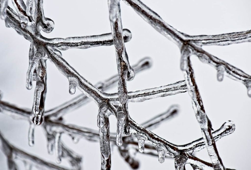 remove ice snow branches