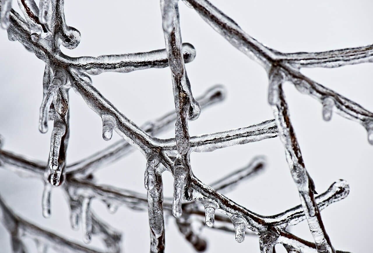remove ice snow branches