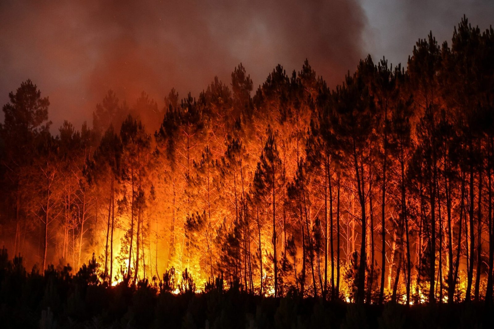 TOPSHOT FRANCE WILDFIRES